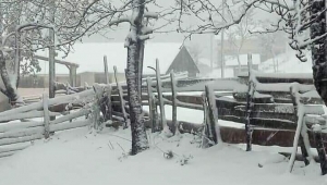 ATA SÖZÜ GERÇEK OLDU