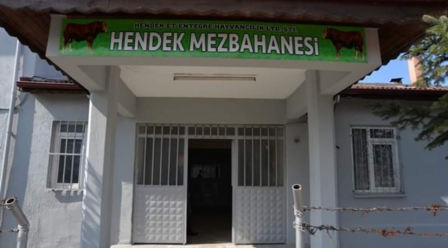 Hendek Mezbehanesi Hizmete Girdi