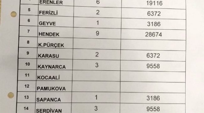 Sakarya'da sokağa çıkma kısıtlamasına uymayan 55 kişiye jandarmadan 175 bin 230 TL ceza