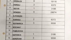 Sakarya'da sokağa çıkma kısıtlamasına uymayan 55 kişiye jandarmadan 175 bin 230 TL ceza