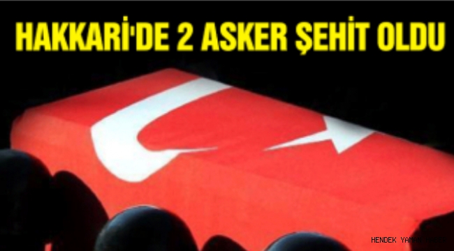 Hakkari'de Hain Saldırı