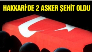 Hakkari'de Hain Saldırı