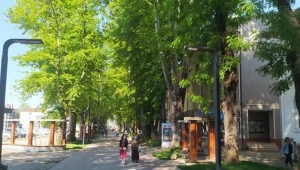 Ramazan Bayramı'nda 4 günlük sokağa çıkma yasağı var