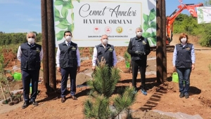 Sakarya'da Cennet Anneleri Hatıra Ormanı Oluşturuldu