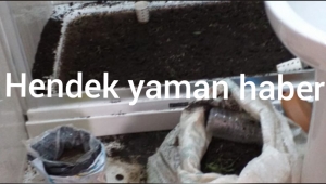 Hendek'de Geçtiğimiz Günlerde Yaşanılan Silah Seslerinin Detayları Ortaya Çıktı