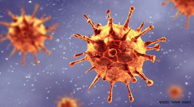 İlçemiz Hendek'de Covid 19 Testleri Başladı