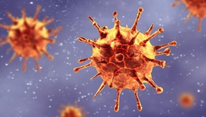 İlçemiz Hendek'de Covid 19 Testleri Başladı