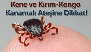 Kırım Kongo Kanamalı Ateşi Hastalığı Nedir?