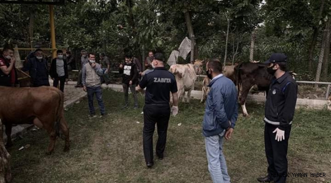 KURBAN SATIŞ YERLERİNDE Zabıta'dan DENETİM