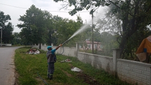Mahallelerde İlaçlama Aralıksız Sürecek