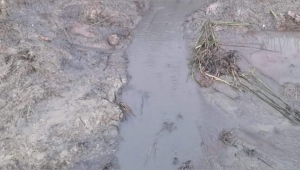 Muhtar Ateş Püskürdü