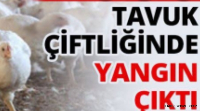 Tavuk Çiftliğinde Yangın