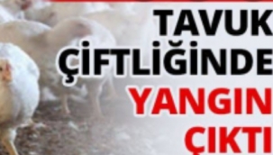 Tavuk Çiftliğinde Yangın