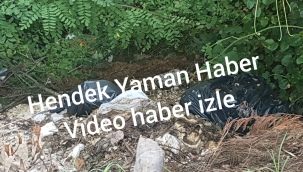 Bayram Bitti Kokusu Bitmedi