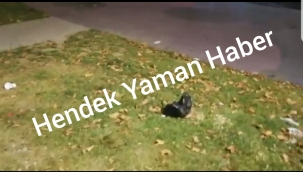 Bu Görüntüler Hendeğe Yakışmıyor