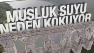 Sularda Yaşanılan Kötü Koku Nedeni ile Vatandaşlar Tepki Gösterdi