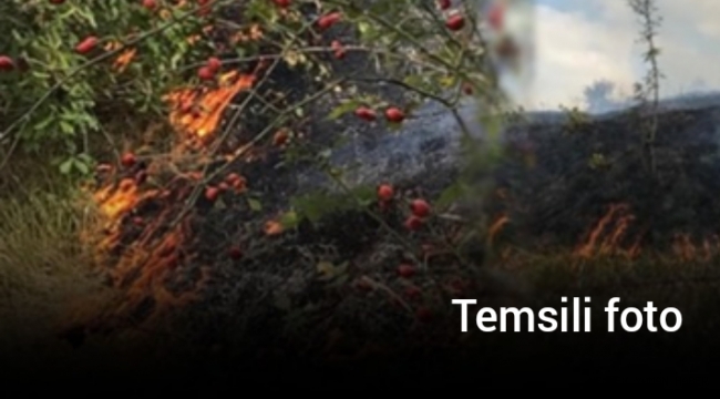 Hendek Esentepe'de Orman Yangını