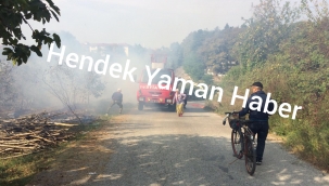 Hendek'te Fındık Bahçesinde Yangın