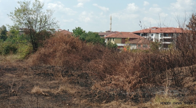 Yol Kenarındaki Kuru Otlar Yangına Davetiye Çıkarıyor