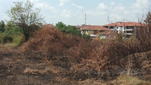Yol Kenarındaki Kuru Otlar Yangına Davetiye Çıkarıyor