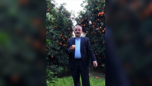 Ak Parti Meclis Üyesi Lokman İçöz Koronaya Yakalandı