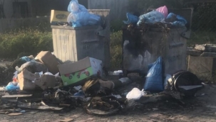 Hendek'te Çöpler Toplanmıyormu?