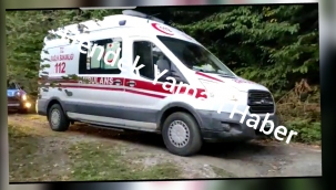 Hendek'te Kestane Toplarken Uçuruma Düştü 1 Yaralı