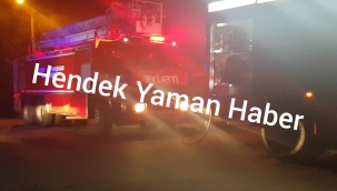 Hendek Yeni Köye'de Korkutan Yangın