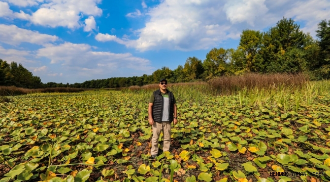 Vali Çetin Oktay Kaldırım’dan Ferizli Çıkarması