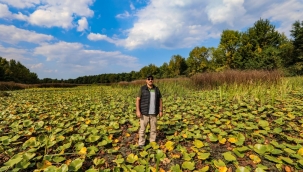 Vali Çetin Oktay Kaldırım’dan Ferizli Çıkarması