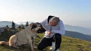 YAYLADA TURİZM PROJESİ ZİRVESİ