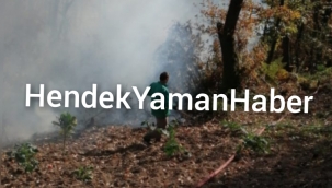 Hendek Salman'da Orman Yangını Panik Yarattı