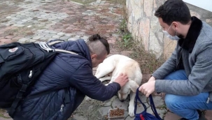 Hendek’te CHP’li Gençlerin Sosyal Sorumluluk Faaliyetleri Taktir Topladı