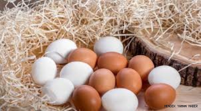 1 Koli Yumurtanın Fiyatı, 22 TL’ye Satılan Tavuğu Bile Solladı.Vatandaşlar Tepkili