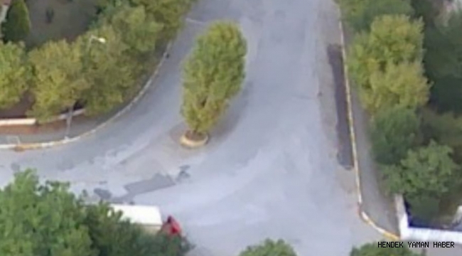 Hendek'te 56 saatlik Yasak'ta Ağaç Buhar Oldu
