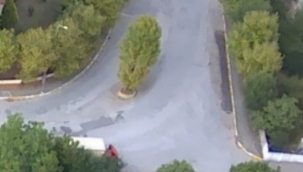 Hendek'te 56 saatlik Yasak'ta Ağaç Buhar Oldu