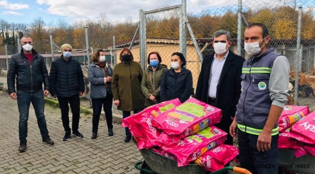 Hendek'te CHP'den Hayvan Barınağına Mama Desteği