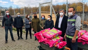 Hendek'te CHP'den Hayvan Barınağına Mama Desteği