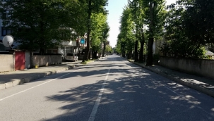 Hendek'te Gecenin İlginç Haberi Sofular Mahallesinden Geldi