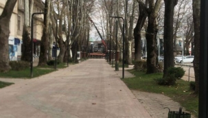 İlçemiz Hendek Şehir Merkezinde Bahardan Kalma Günler Yaşanıyor