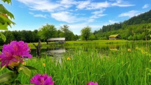 Twitter'da #Heavenly Sakarya Etiketi Türkiye Gündemine Girdi.