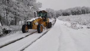 Başkan Babaoğlu Hendek'te Karla Mücadele Sürüyor
