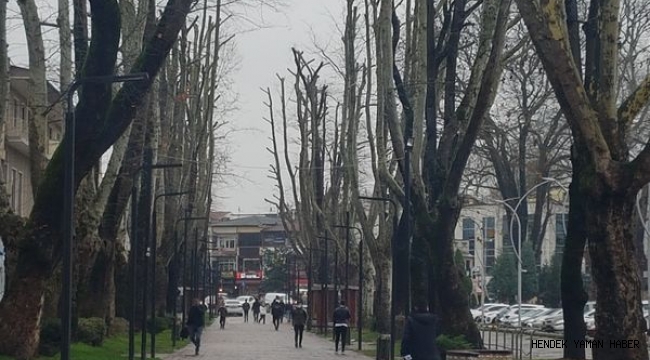 Hendek İlçe Merkezinde Yağmur Yüksek Yerleşim Bölgelerinde Kar Yağışı Etkili Oldu