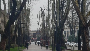 Hendek İlçe Merkezinde Yağmur Yüksek Yerleşim Bölgelerinde Kar Yağışı Etkili Oldu