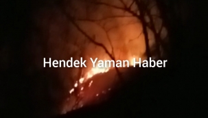 Hendek’te Ciğerlerimiz Yandı