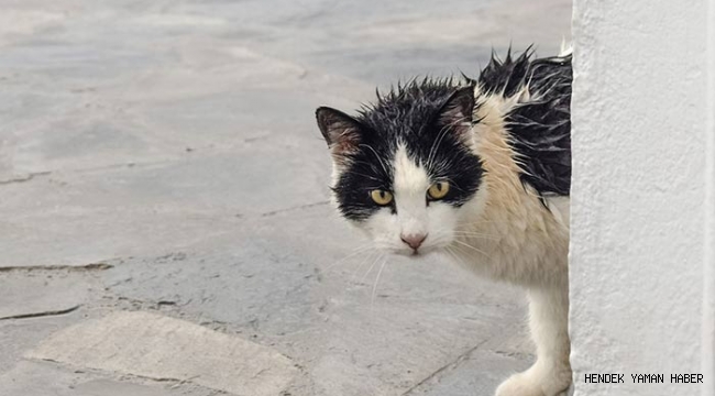 Hendek'te Duyarlı Vatandaşlardan Araç sürücülerine Çağrı Kontağı Çevirmeden Kaputa Vur