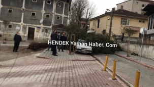 Hendek'te Otomobil  Çam ağacının Altında Kaldı