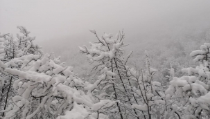 Hendek'te Yüksek Mahallelere Kar Yağdı Ortaya Kartpostallık Görüntüler Çıktı