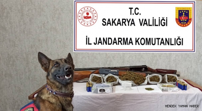 Serdivanda Jandarmadan Nefes Kesen Uyuşturucu Operasyonu