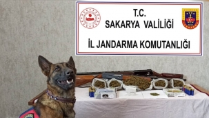 Serdivanda Jandarmadan Nefes Kesen Uyuşturucu Operasyonu